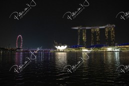 Singapore256.jpg