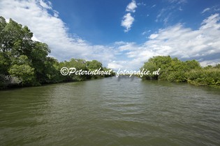 Jamaica_Black River-106.jpg