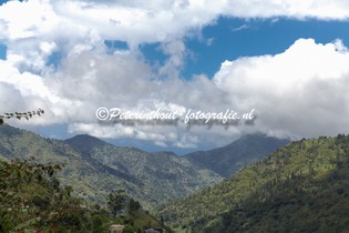 Jamaica_Blue Mountain-108.jpg