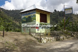 Jamaica_Blue Mountain-131.jpg