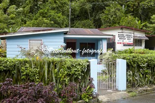 Jamaica_Blue Mountain-142.jpg