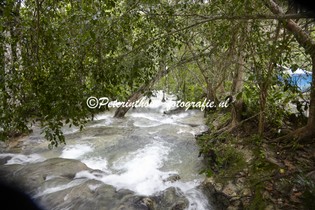 Jamaica_Dunns River Falls-105.jpg