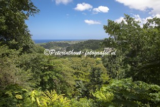 Jamaica_Konoko Falls-105.jpg