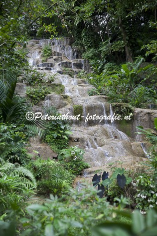 Jamaica_Konoko Falls-110.jpg