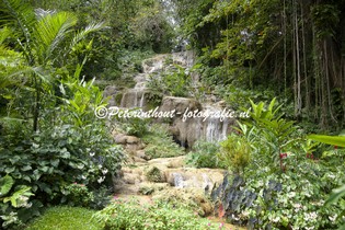 Jamaica_Konoko Falls-111.jpg