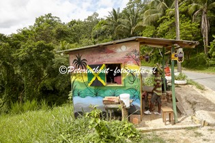 Jamaica_Natuur-131.jpg