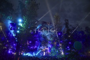 Tomorrowland 2022-270.jpg